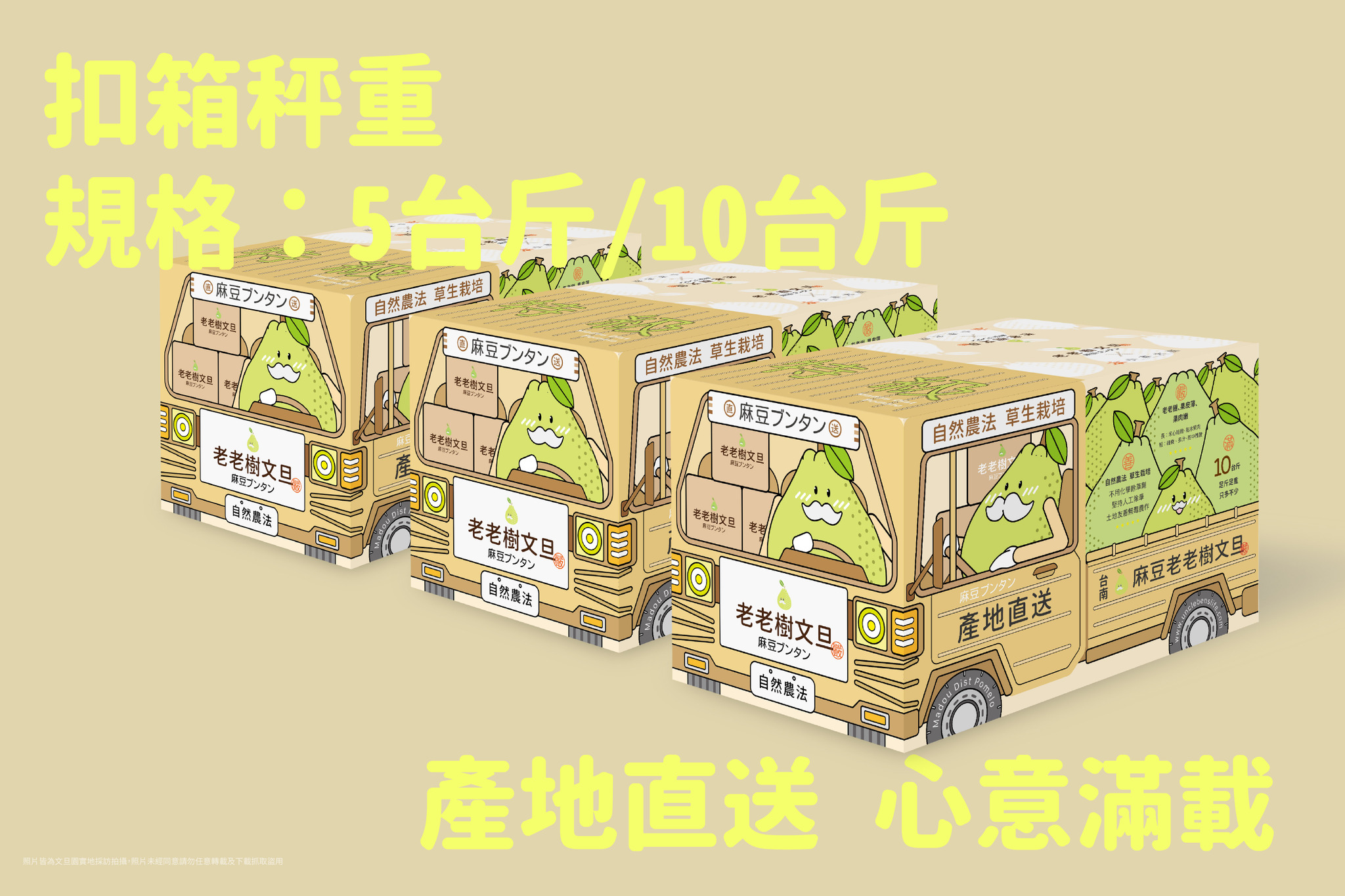 秦客 X 老老樹文旦｜團購 團購圖片